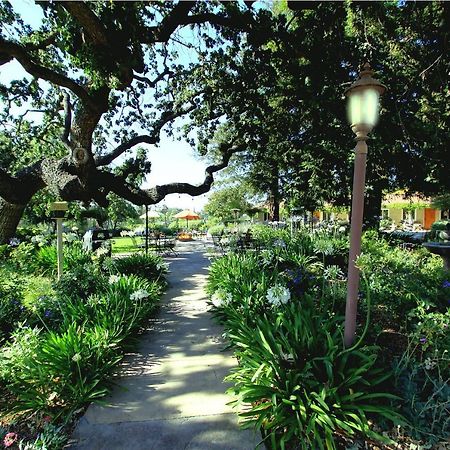 Meadowlark Inn Solvang Luaran gambar