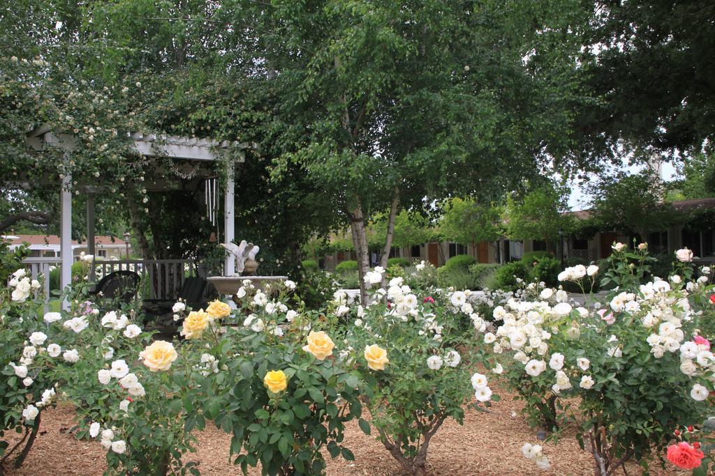 Meadowlark Inn Solvang Luaran gambar