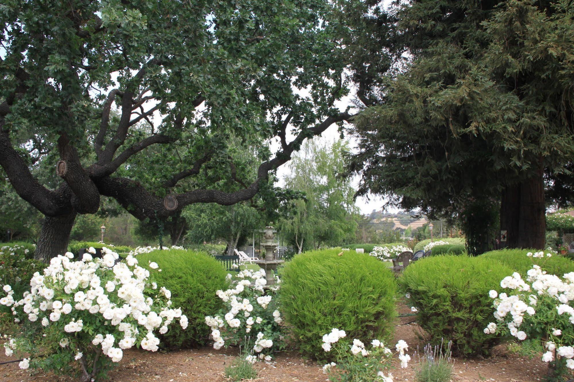 Meadowlark Inn Solvang Luaran gambar