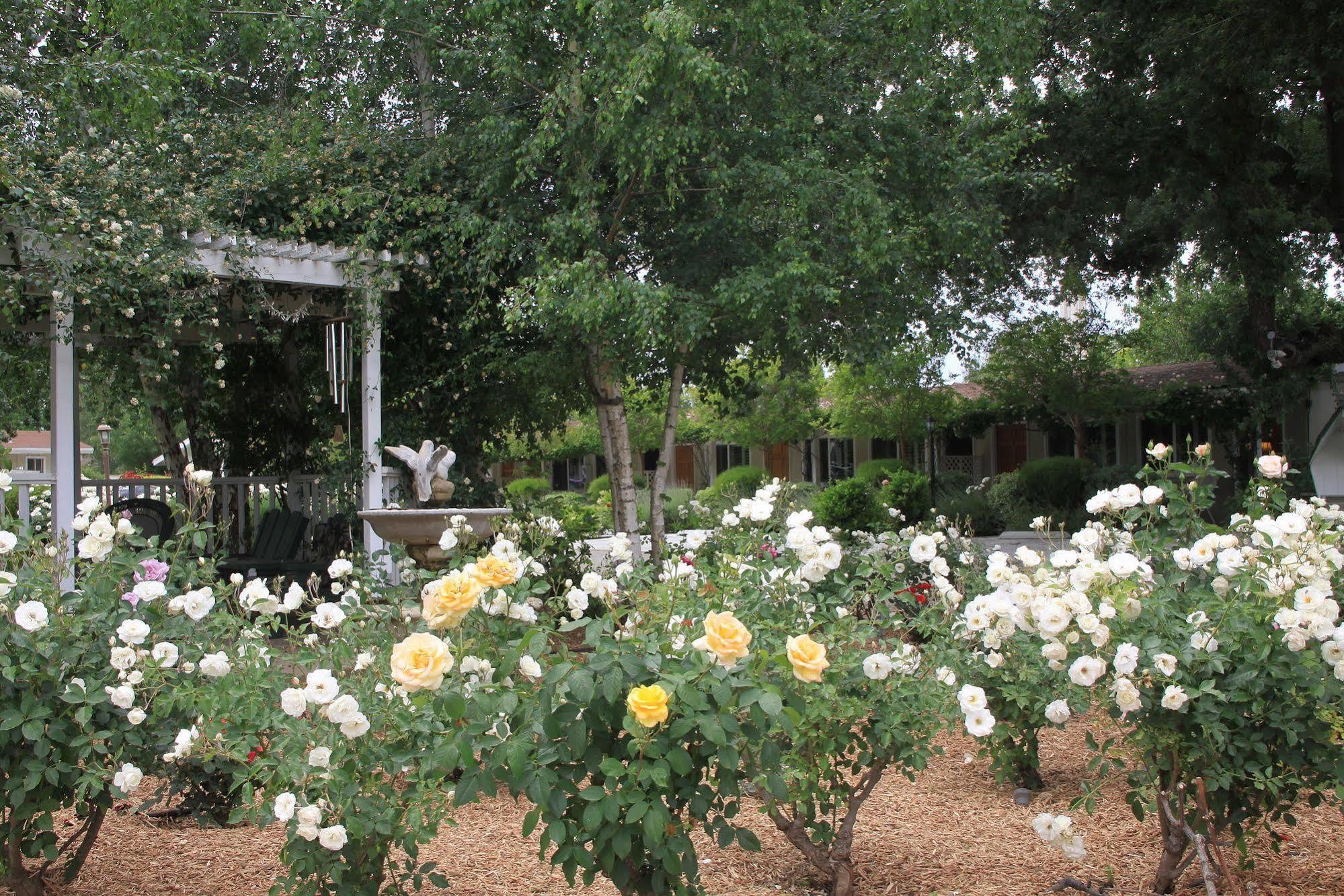 Meadowlark Inn Solvang Luaran gambar